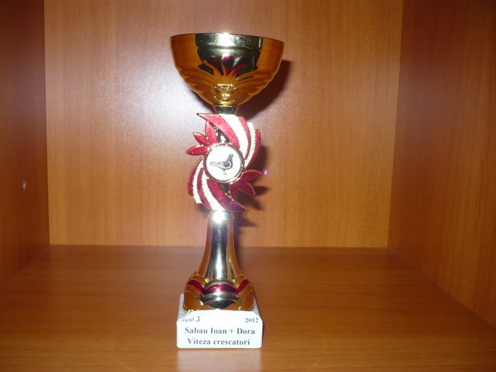 al doilea sezon primma cupa - rezultate 2012