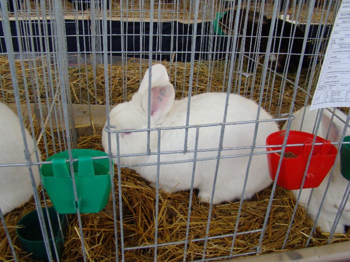 DSC01403