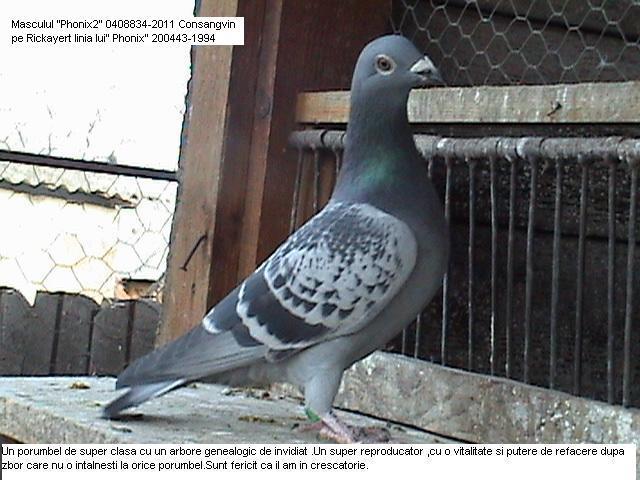 262905_466104823411773_1577222199_n