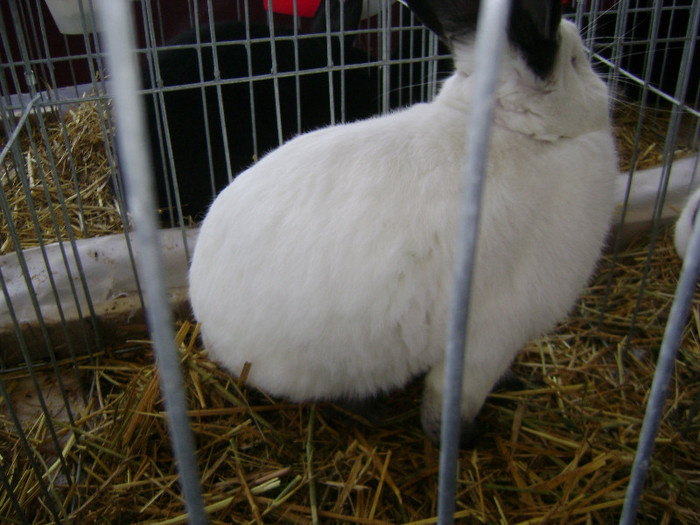 DSC03599