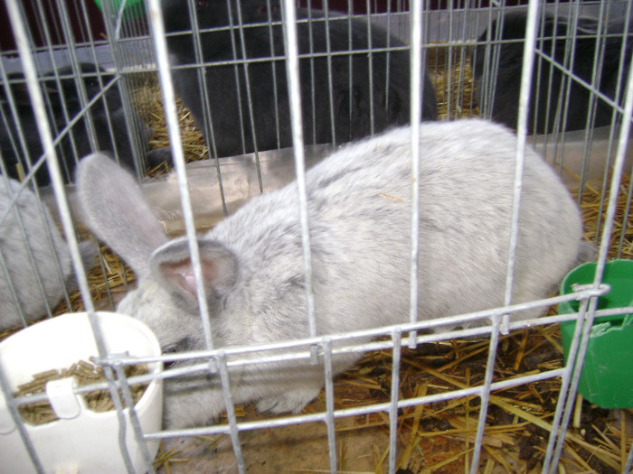 DSC03607