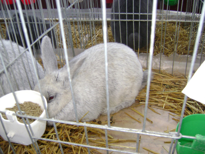 DSC03608
