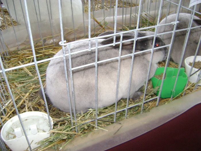 DSC03619