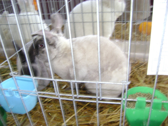 DSC03621