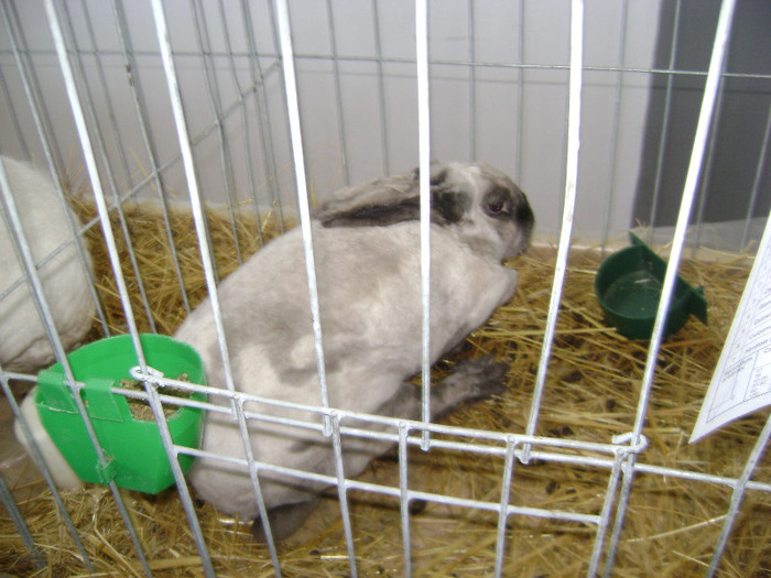 DSC03622
