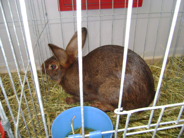 DSC03627