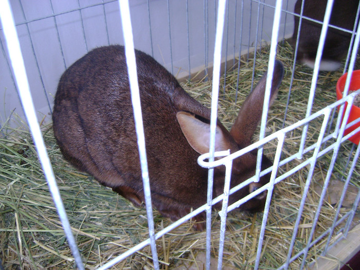 DSC03628