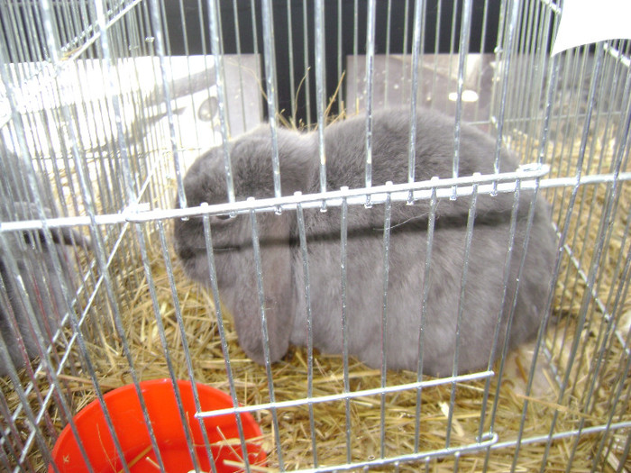 DSC03636