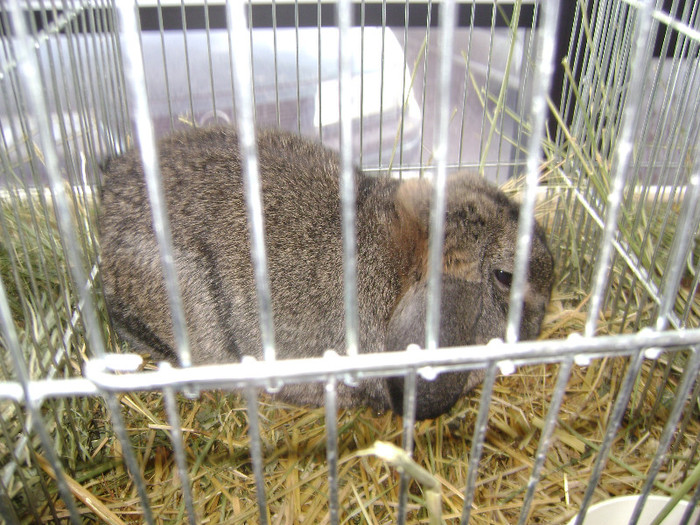 DSC03640