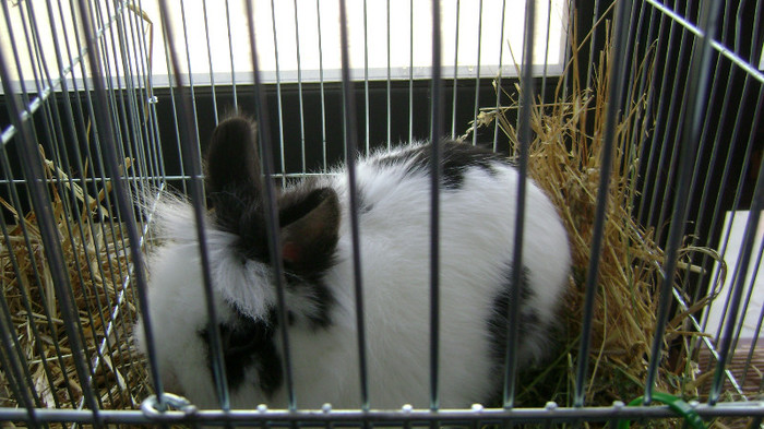 DSC03646