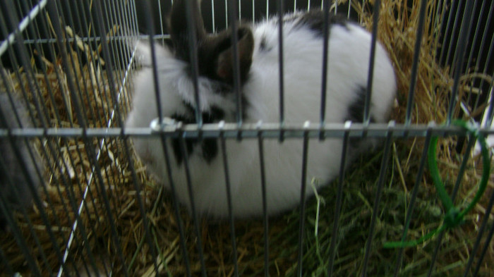 DSC03647