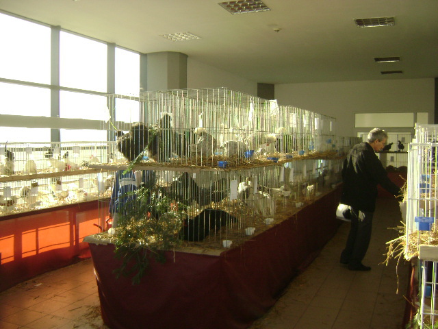DSC03665