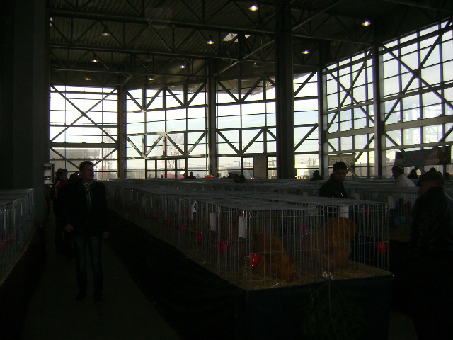 DSC03670