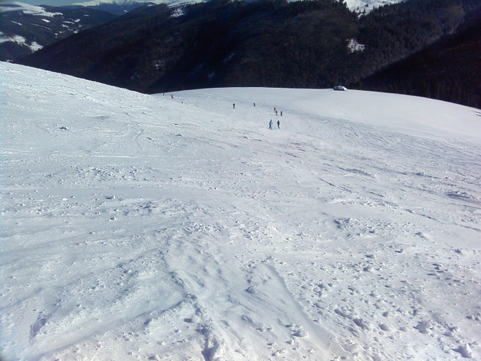 IMG_20130113_115950 - la ski transalpina voineasa