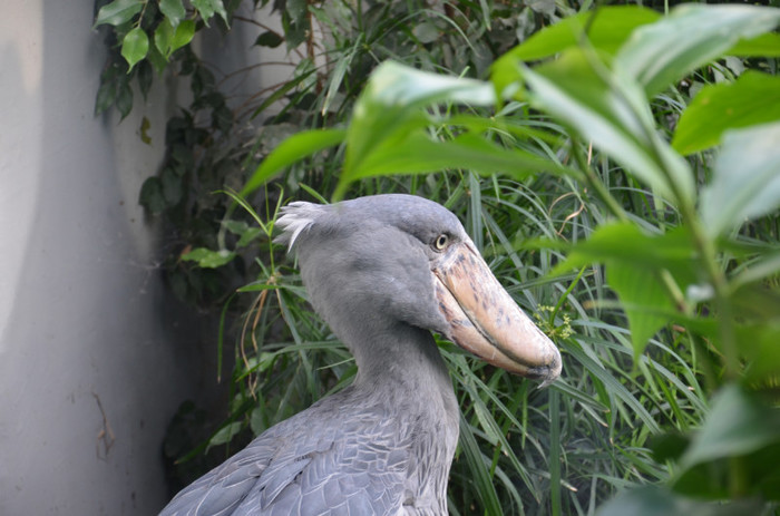  - Zoo Berlin