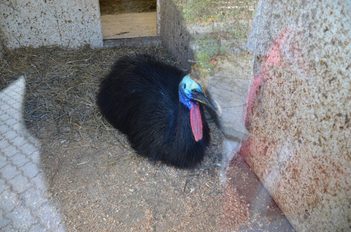  - Zoo Berlin