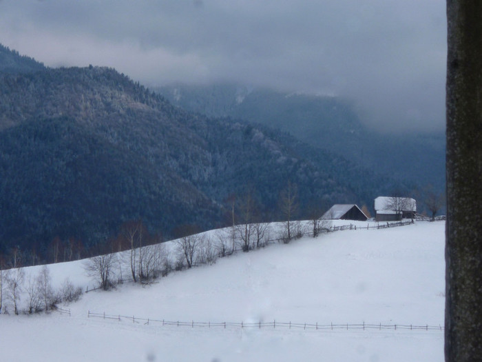 iarna; peisaj munte vladelea bucegi bran simon
