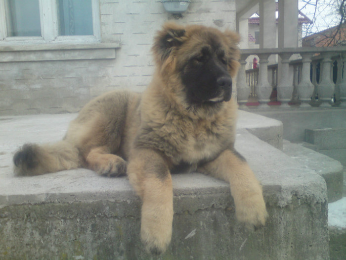 Chelsea