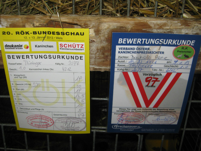 wels_2013_ 056