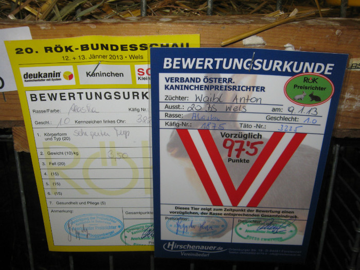 wels_2013_ 059