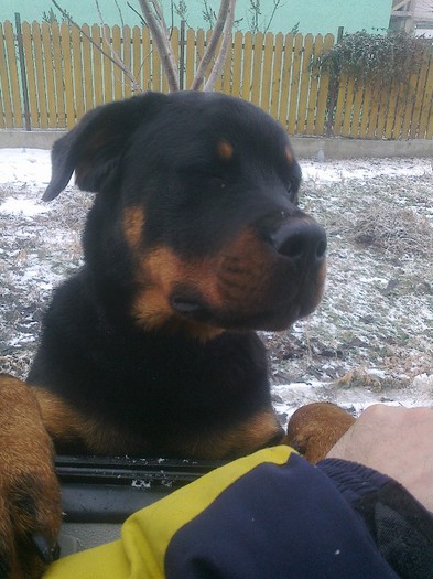 Vecinul meu imi da buna ziua