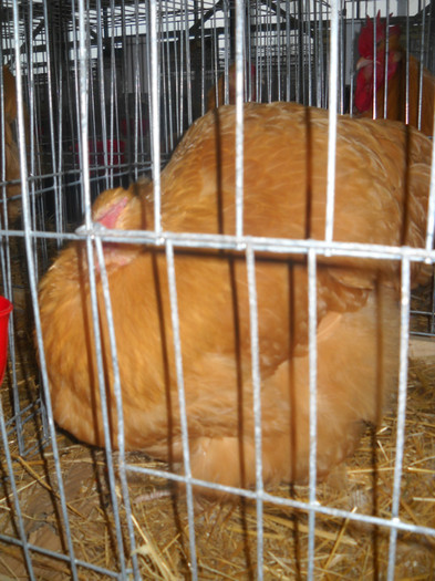 Picture 140