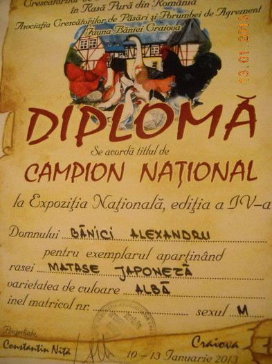 Campion National Craiova 2013 - DIPLOME SI MEDALII
