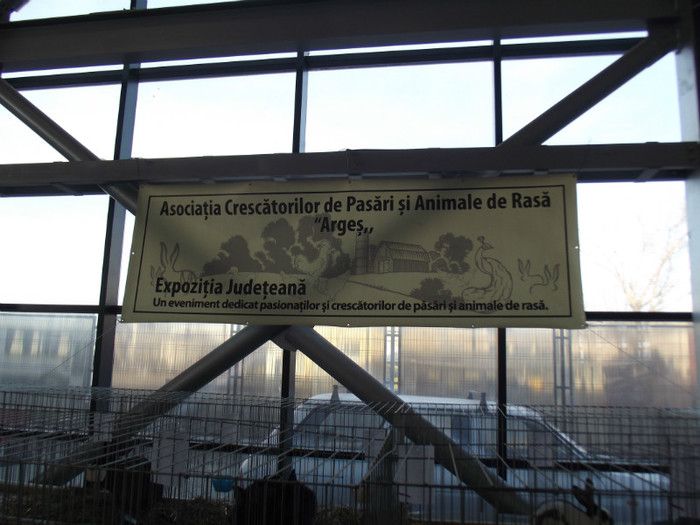 DSCF0703 - Expo Nationala Craiova 2013 POZE