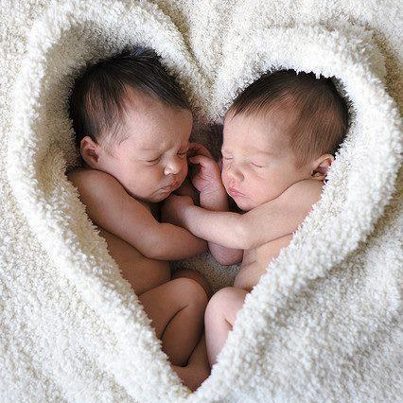 63712_514369255251957_604125237_n