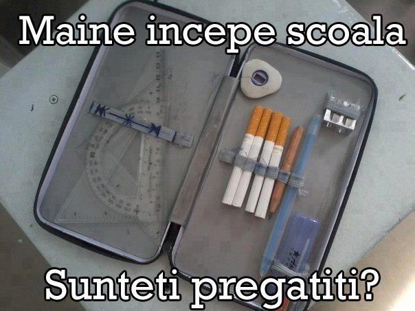 537442_255176541279909_579130077_n