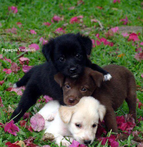 6405_387695114655347_13493242_n