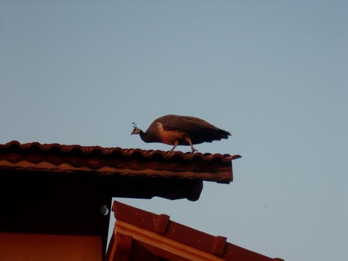 424440_101371466655530_283660348_n