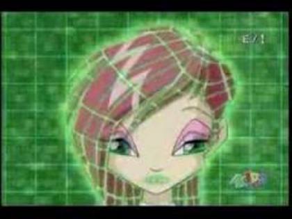  - winx transform tecna echatinx