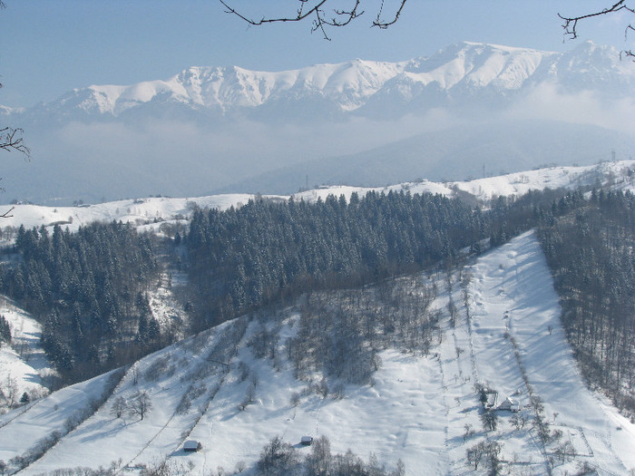 IMG_2901 - Vara - Toamna - Iarna in Transylvania