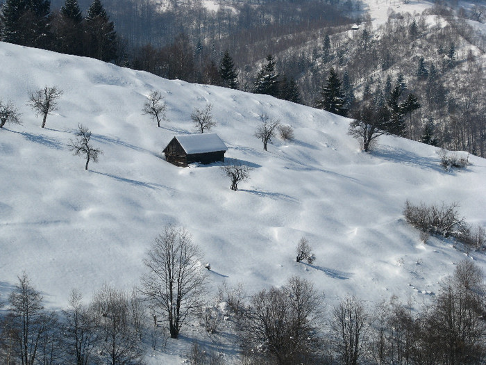 IMG_2910 - Vara - Toamna - Iarna in Transylvania