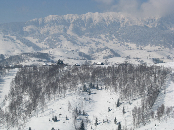 IMG_2929 - Vara - Toamna - Iarna in Transylvania