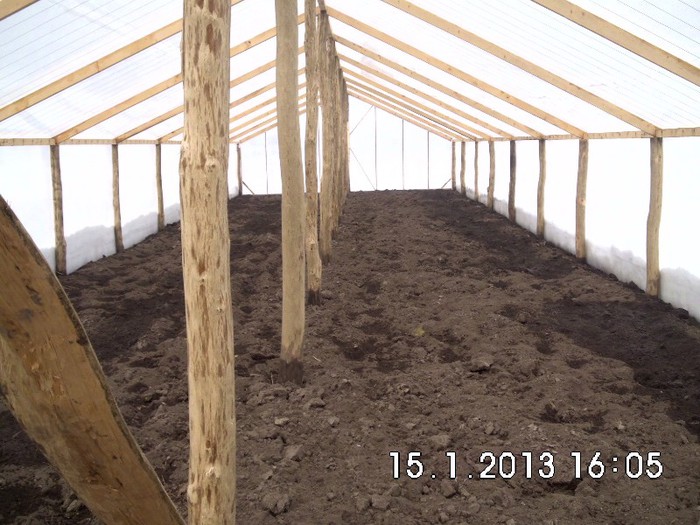 PREGATIT PT SEMANAT IN FEBRUARIE