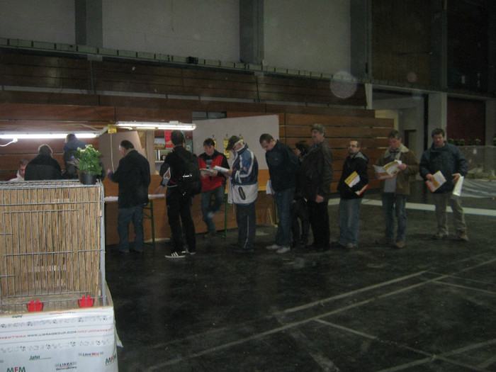 se sta la rand pentru cumparare