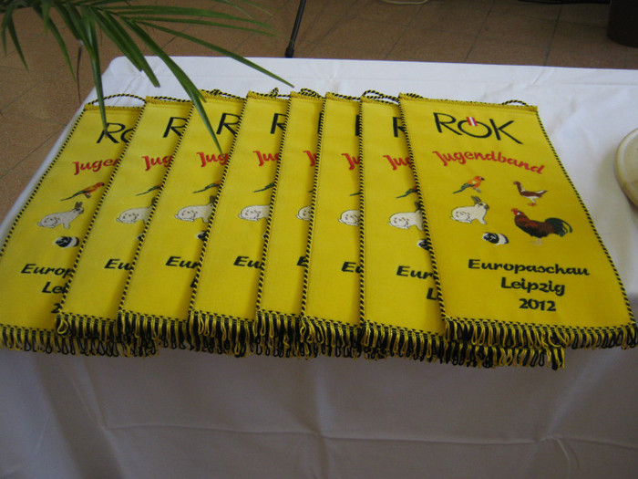 pentru campionii europeni