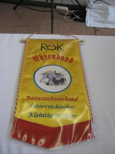 wels_2013_ 155 - Expo-Wels-2013
