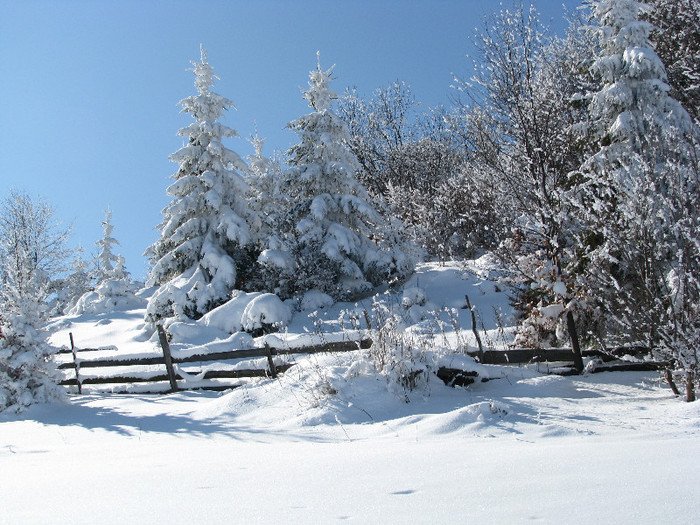 IMG_2961 - Vara - Toamna - Iarna in Transylvania
