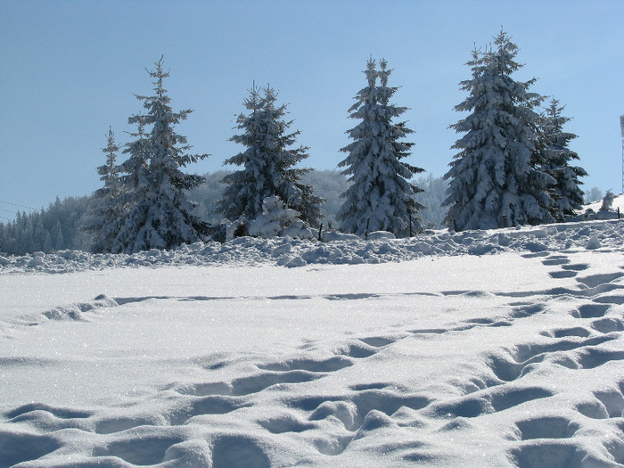 IMG_2962 - Vara - Toamna - Iarna in Transylvania