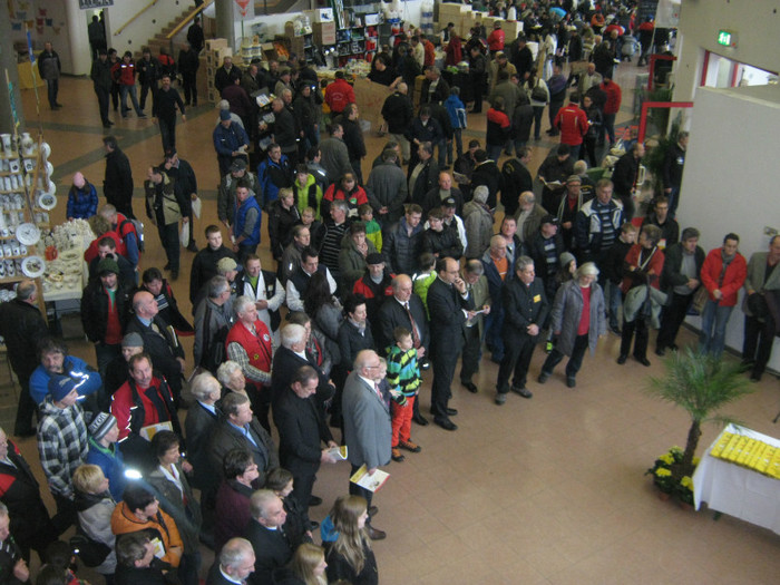 invitatii din toata tara