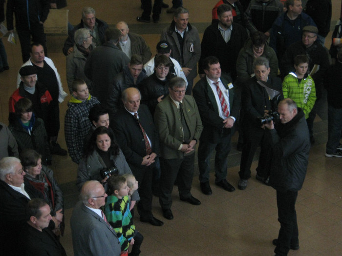 primarul orasului Wels si altii