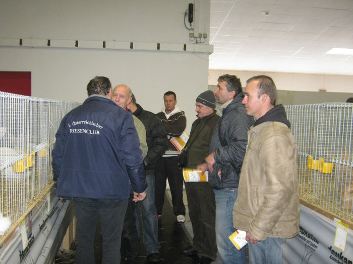 delegatia din Ungaria