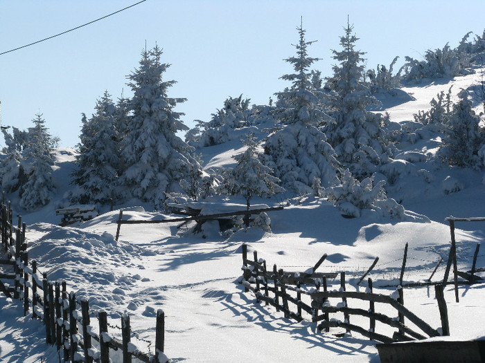 IMG_3018 - Vara - Toamna - Iarna in Transylvania