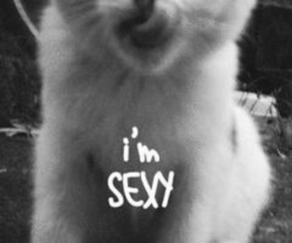 537177_471237116245334_856286474_n_thumb