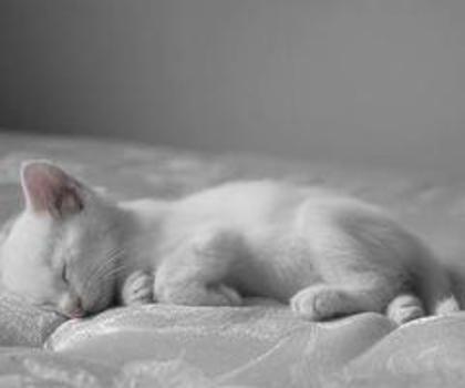 tumblr_mgob4i3K8A1rf8vulo1_500_thumb