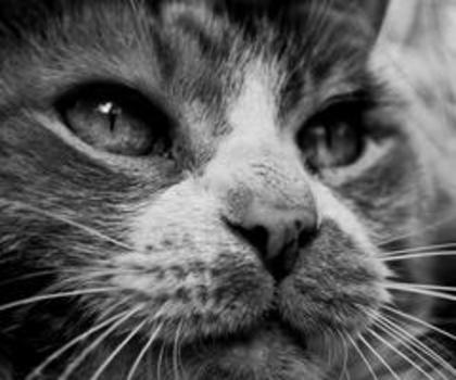 32383_385451458206062_1457179467_n_thumb