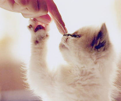 tumblr_mggd7gzEhX1rc2t7uo1_400_thumb